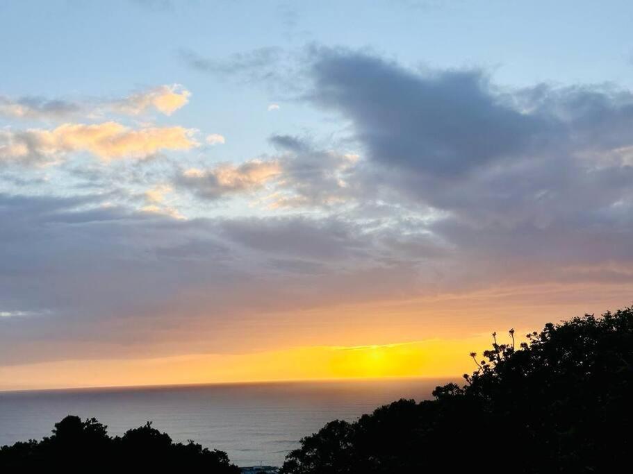 Sea View Sun Centre Lägenhet Plettenberg Bay Exteriör bild