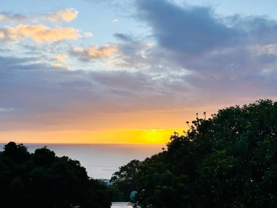 Sea View Sun Centre Lägenhet Plettenberg Bay Exteriör bild